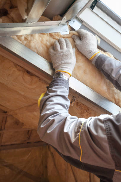 Best Insulation Maintenance and Repair in Draper, UT